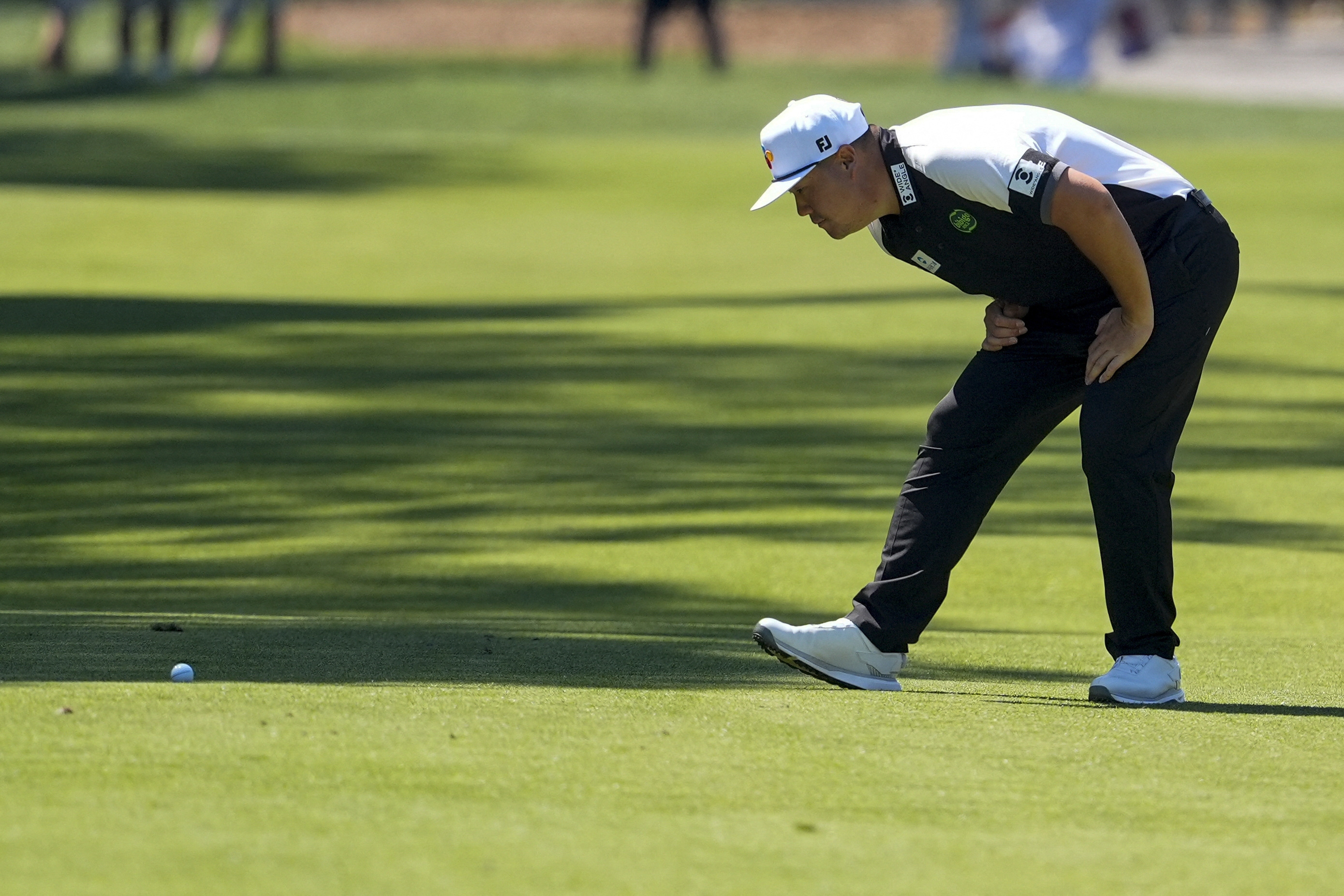 Jim Dedmon / Bildbyrån