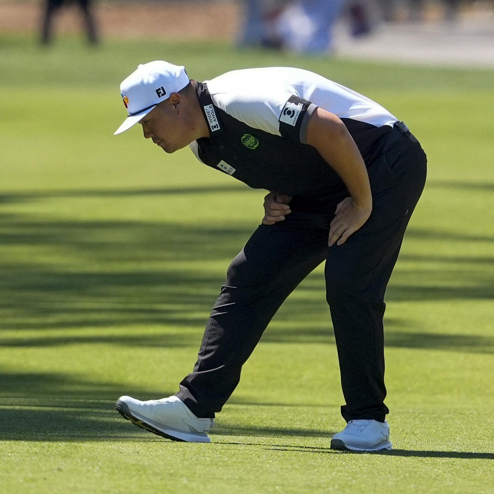 Jim Dedmon / Bildbyrån