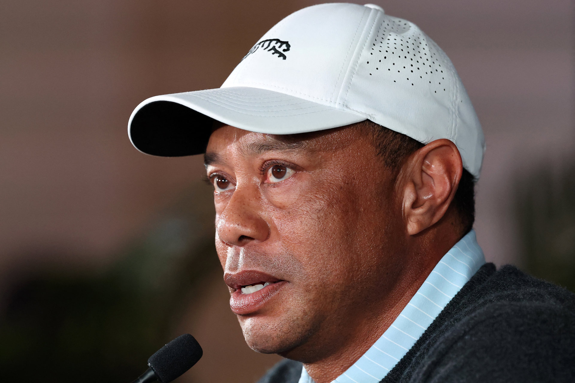 Tiger Woods will stand infront of the jury. Photo: Bildbyrån